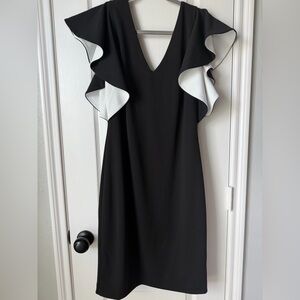 NWT White House Black Market V-Neck cocktail Dress. Size 10